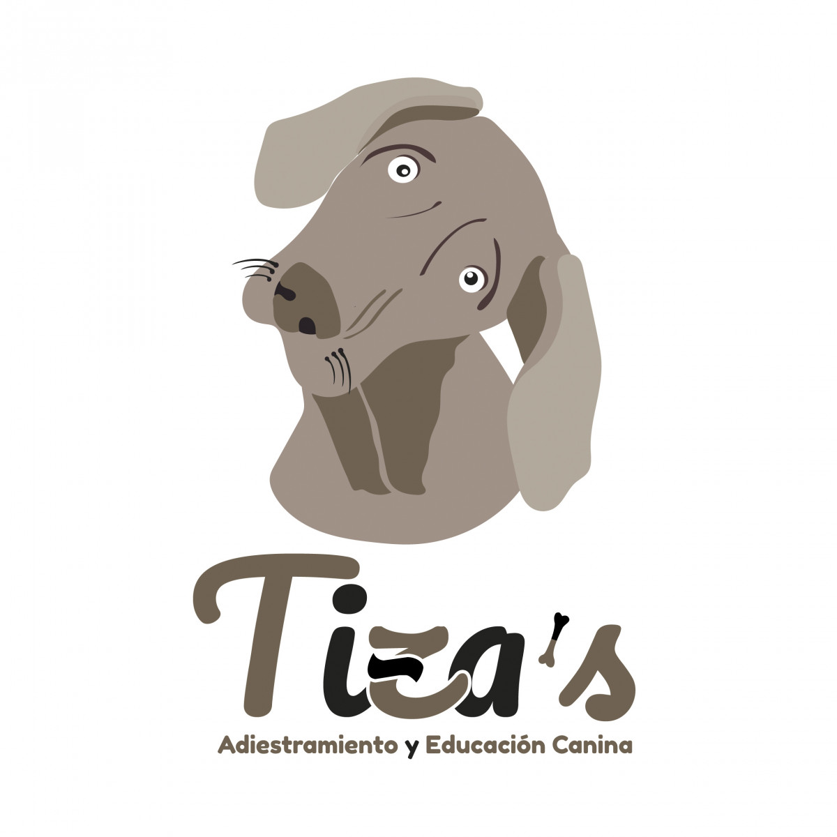 LOGOFINALADICIONAL2