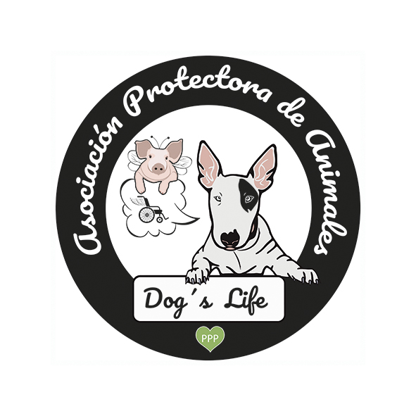 dogslife2024final